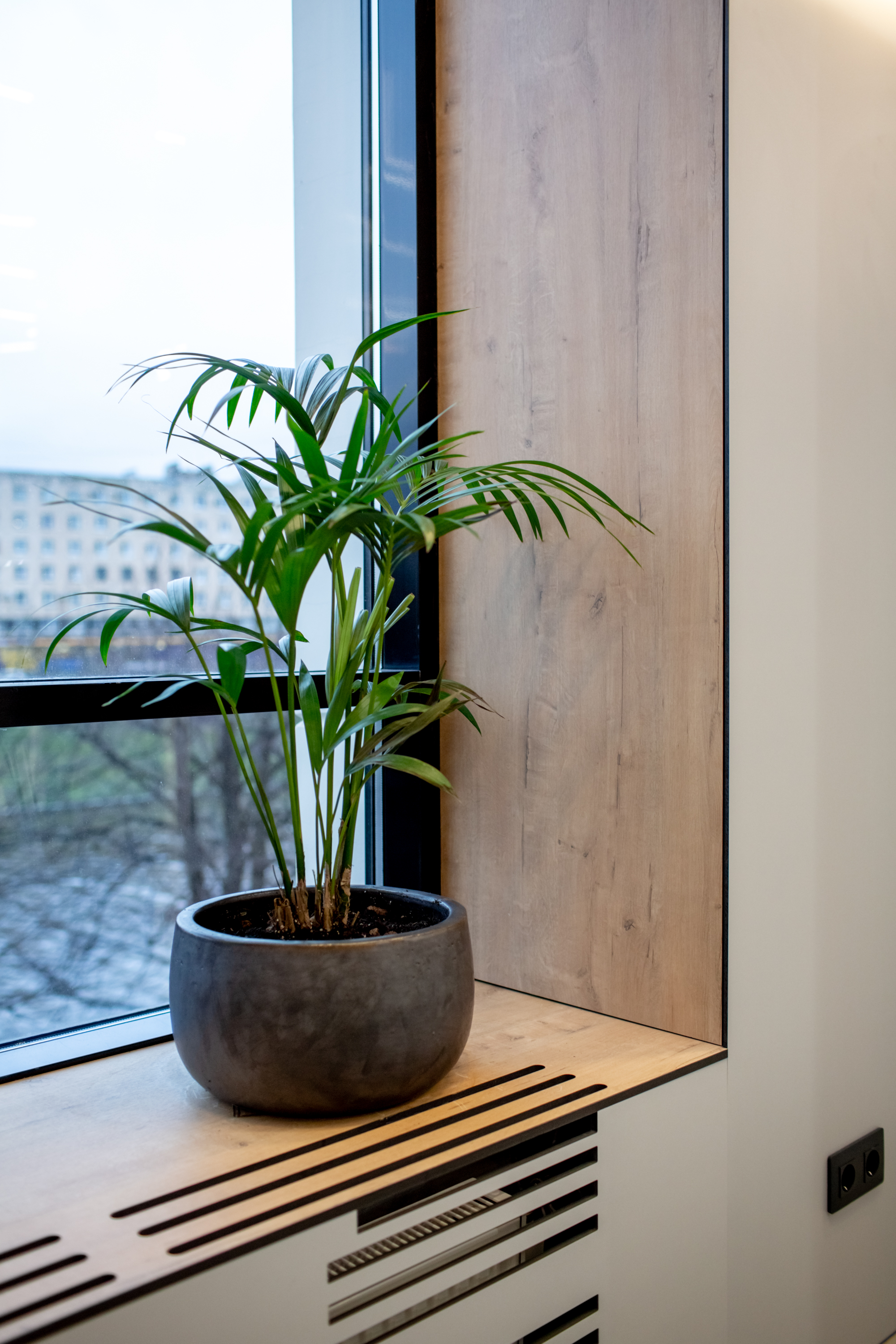 Возможности Solid Compact от Slotex 1