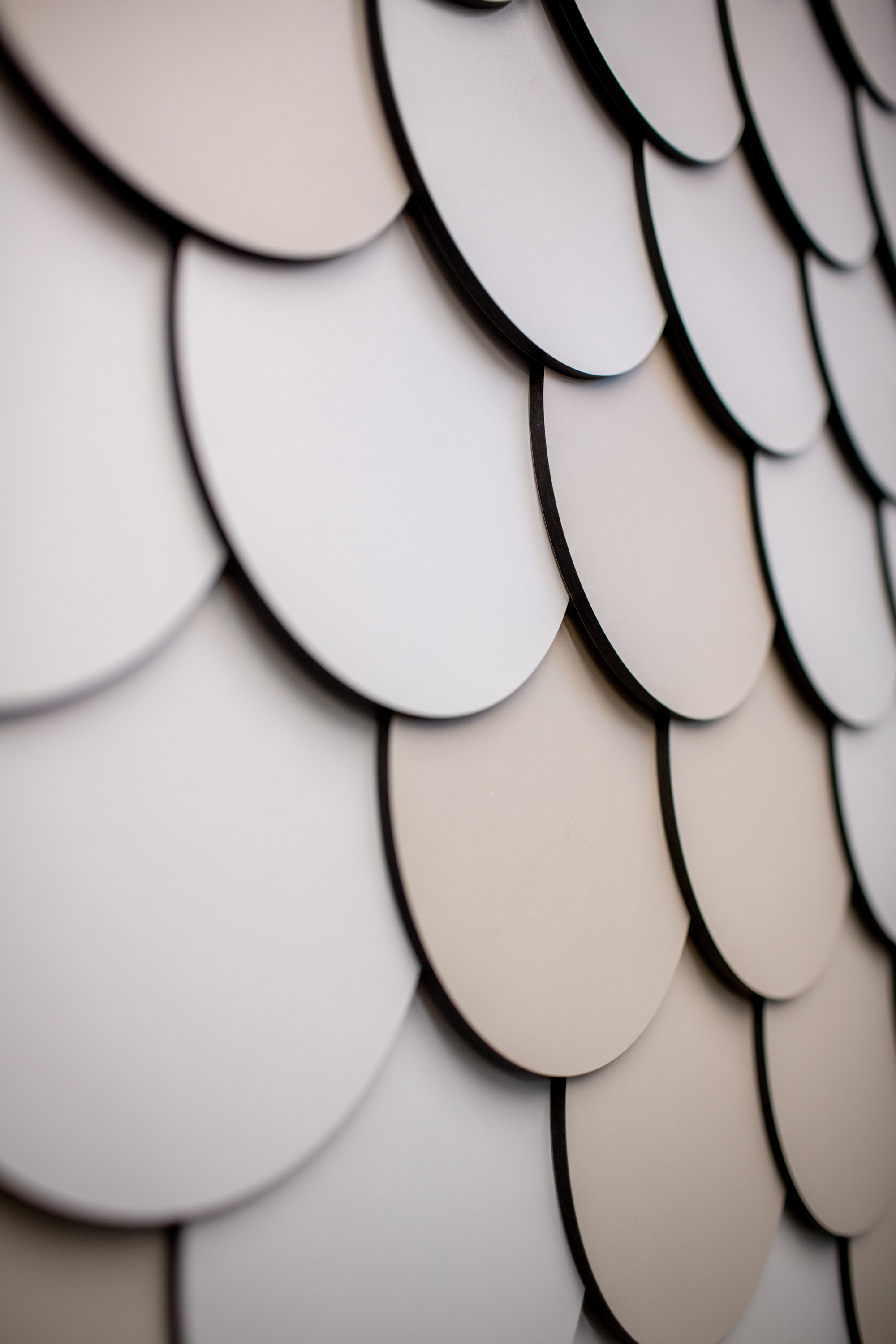 Возможности Solid Compact от Slotex 2