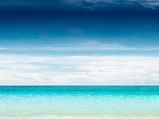 Карибы 85-0009/Standard