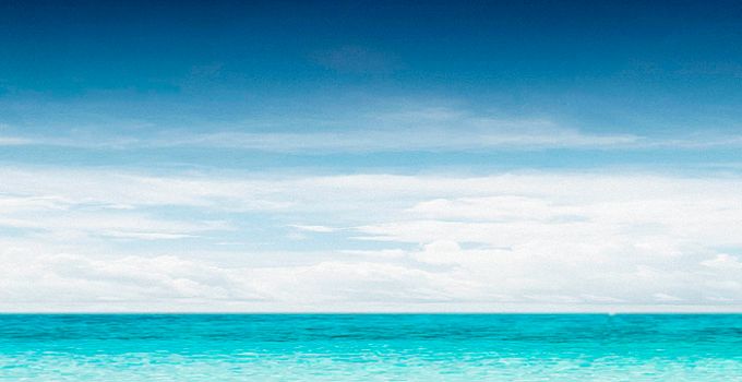 Карибы 85-0009/Standard