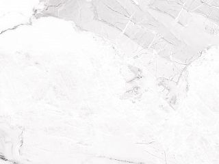 Calacatta Bianco 8251