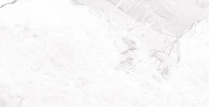 Calacatta Bianco 8251