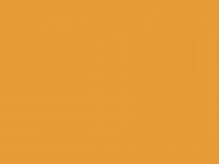Mustard 7645
