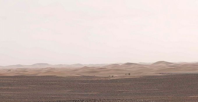 Сахара 85-0011/Standard