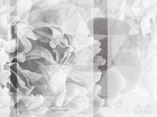 Пион 84-0014/Light