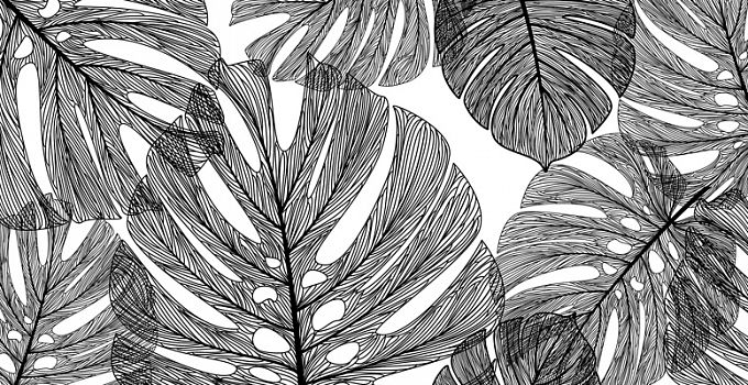 Монстера 86-0004/Dark