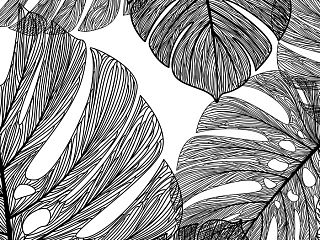 Монстера 86-0004/Dark