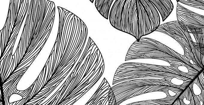 Монстера 86-0004/Dark