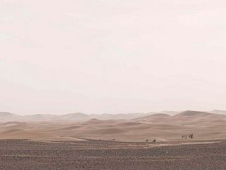 Сахара 85-0011/Standard