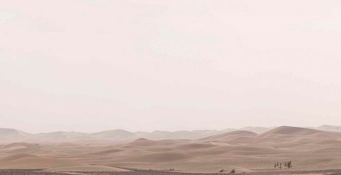 Сахара 85-0011/Standard