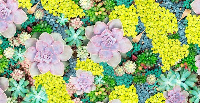 Краски лета 85-0003/Standard